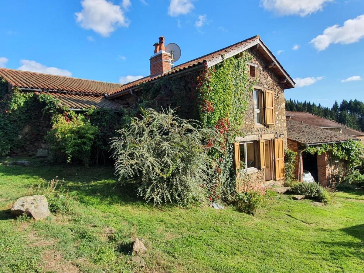 Eco-Gite Cottage Panoramique, Terrasses, Baby Foot, 150 M2 Renove Et Agrandi En 2024, Activites Proposees Champagnac-le-Vieux Luaran gambar