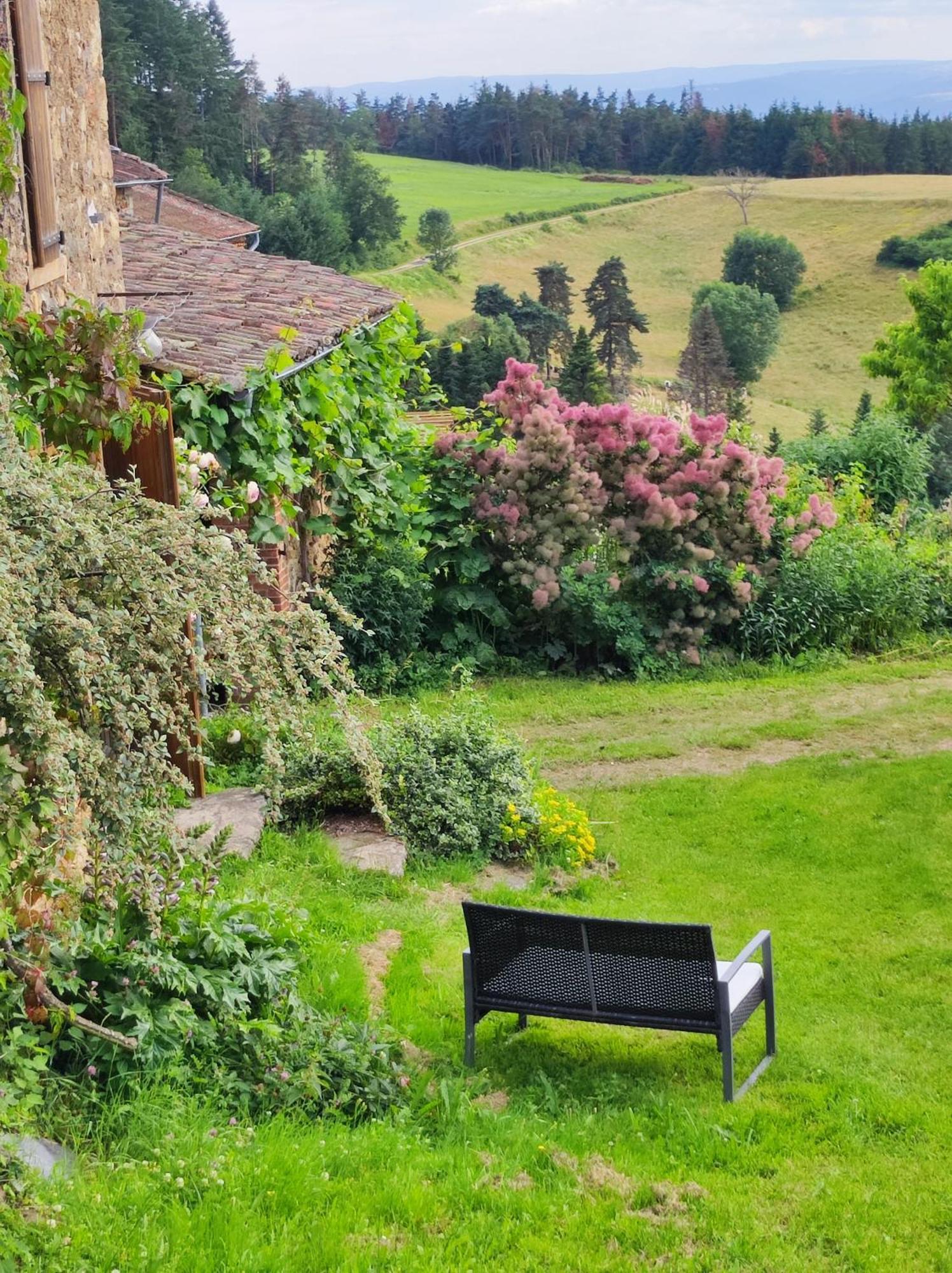 Eco-Gite Cottage Panoramique, Terrasses, Baby Foot, 150 M2 Renove Et Agrandi En 2024, Activites Proposees Champagnac-le-Vieux Luaran gambar